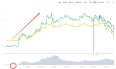 btcst幣價格,賣btcst幣的app