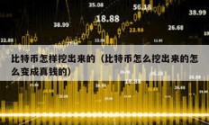 比特幣怎樣挖出來的（比特幣怎么挖出來的怎么變成真錢的）