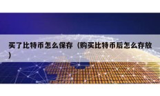 買了比特幣怎么保存（購買比特幣后怎么存放）