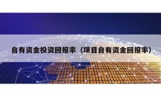 自有資金投資回報(bào)率（項(xiàng)目自有資金回報(bào)率）