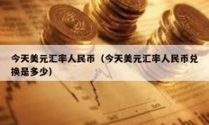 今天美元匯率人民幣（今天美元匯率人民幣兌換是多少）