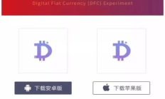 法定數(shù)字錢包,數(shù)字人民幣個(gè)人錢包限額類別