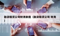 融資租賃公司財務制度（融資租賃公司 財務）