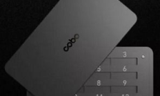 萊特錢包中文,比特派錢包官網版APP正版