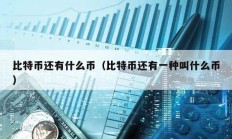 比特幣還有什么幣（比特幣還有一種叫什么幣）