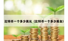 比特幣一個多少美元（比特幣一個多少美金）
