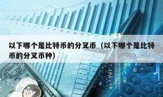 以下哪個(gè)是比特幣的分叉幣（以下哪個(gè)是比特幣的分叉幣種）