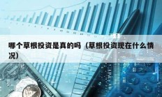 哪個草根投資是真的嗎（草根投資現(xiàn)在什么情況）