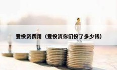 愛投資費用（愛投資你們投了多少錢）