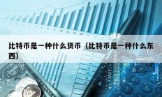 比特幣是一種什么貨幣（比特幣是一種什么東西）