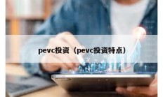 pevc投資（pevc投資特點）