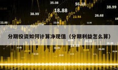 分期投資如何計算凈現值（分期利益怎么算）