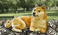 狗狗幣哪里交易,狗狗幣在哪個(gè)平臺(tái)上買最正規(guī)