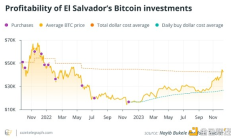 薩爾瓦多的比特幣策略是不負責任的投機還是卓越嘗試？