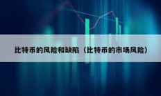 比特幣的風險和缺陷（比特幣的市場風險）