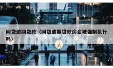 網貸逾期貸款（網貸逾期貸款房會被強制執行嗎）