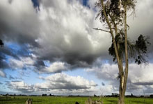 做空預(yù)測(cè)市場(chǎng)