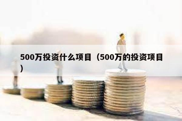 500萬投資什么項目(500萬的投資項目)