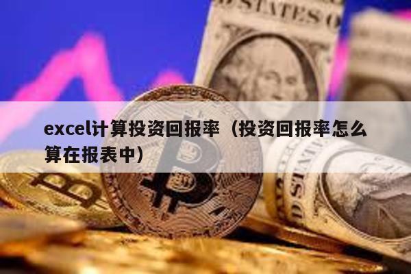 excel計算投資回報率(投資回報率怎么算在報表中)