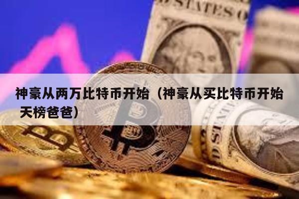 神豪從兩萬比特幣開始(神豪從買比特幣開始 天榜爸爸)