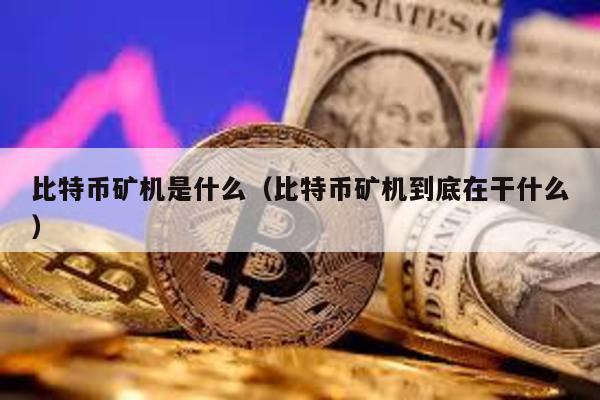 比特幣礦機是什么(比特幣礦機到底在干什么)