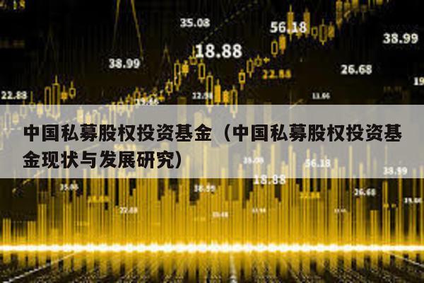 中國私募股權投資基金(中國私募股權投資基金現狀與發展研究)
