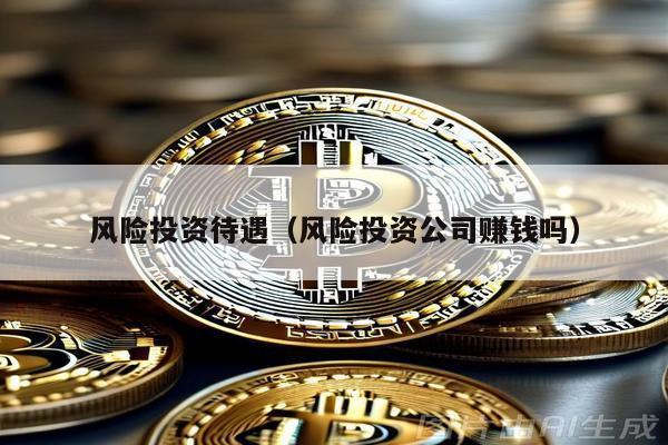 風(fēng)險(xiǎn)投資待遇(風(fēng)險(xiǎn)投資公司賺錢嗎)