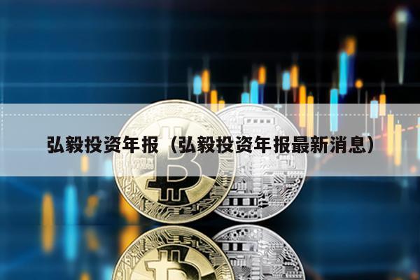 弘毅投資年報(弘毅投資年報最新消息)