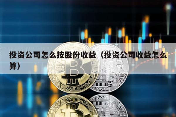 投資公司怎么按股份收益(投資公司收益怎么算)