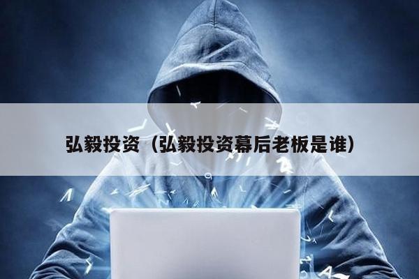 弘毅投資(弘毅投資幕后老板是誰)