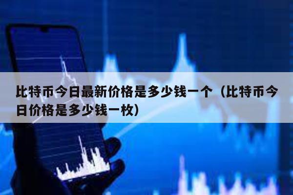 比特幣今日最新價格是多少錢一個(比特幣今日價格是多少錢一枚)