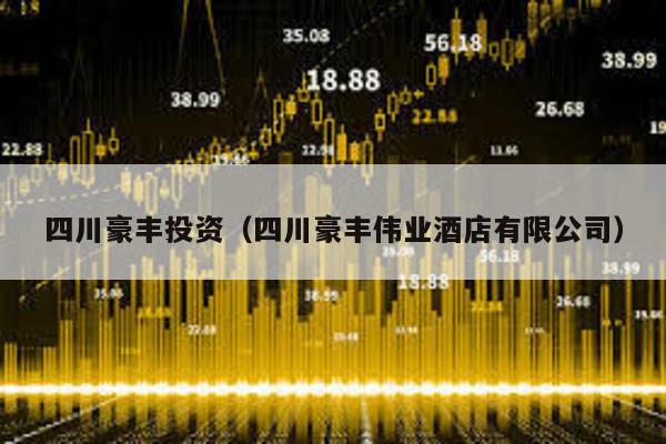 四川豪豐投資(四川豪豐偉業酒店有限公司)