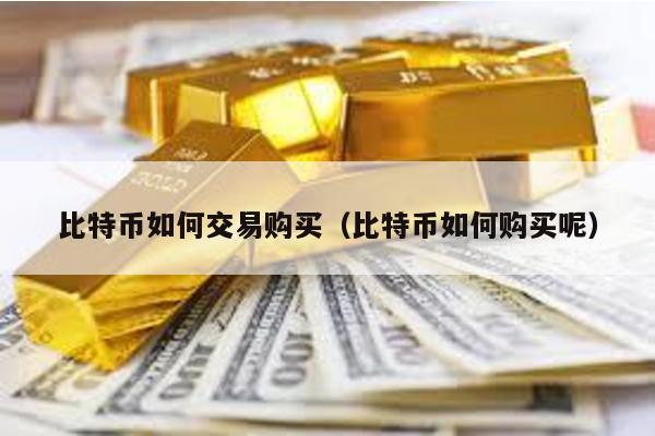 比特幣如何交易購(gòu)買(mǎi)(比特幣如何購(gòu)買(mǎi)呢)
