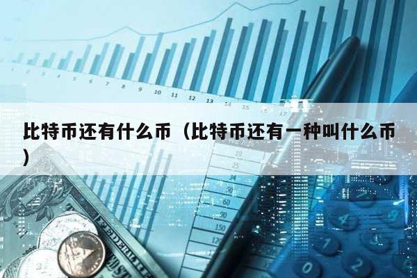 比特幣還有什么幣(比特幣還有一種叫什么幣)