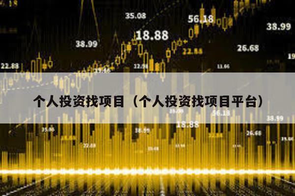 個人投資找項目(個人投資找項目平臺)
