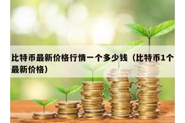 比特幣最新價格行情一個多少錢(比特幣1個最新價格)