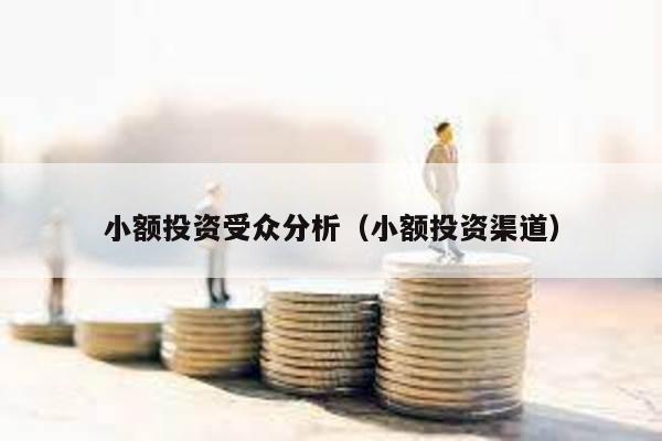 小額投資受眾分析(小額投資渠道)