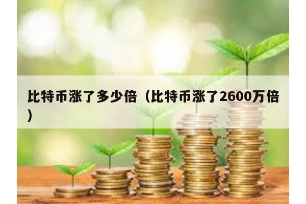 比特幣漲了多少倍(比特幣漲了2600萬倍)