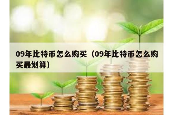 09年比特幣怎么購買(09年比特幣怎么購買最劃算)