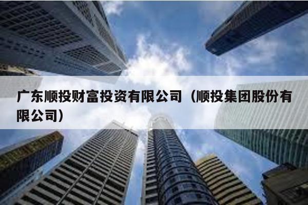 廣東順投財富投資有限公司(順投集團股份有限公司)
