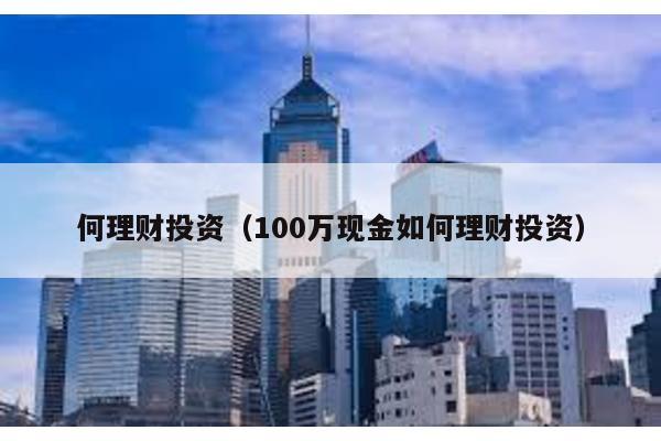 何理財投資(100萬現(xiàn)金如何理財投資)