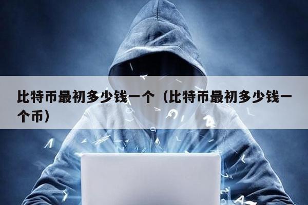 比特幣最初多少錢一個(比特幣最初多少錢一個幣)