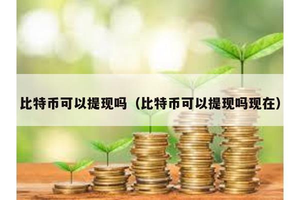比特幣可以提現嗎(比特幣可以提現嗎現在)