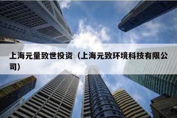 上海元量致世投資(上海元致環境科技有限公司)