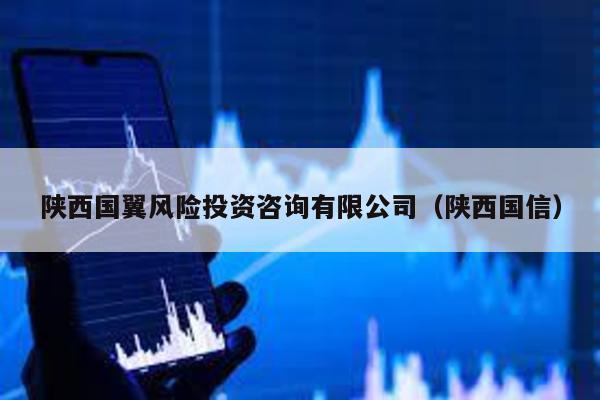 陜西國翼風(fēng)險投資咨詢有限公司(陜西國信)