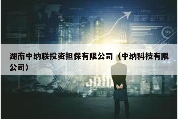 湖南中納聯(lián)投資擔(dān)保有限公司(中納科技有限公司)