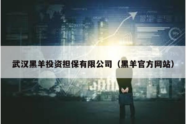 武漢黑羊投資擔保有限公司(黑羊官方網站)