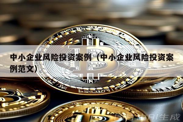 中小企業(yè)風險投資案例(中小企業(yè)風險投資案例范文)