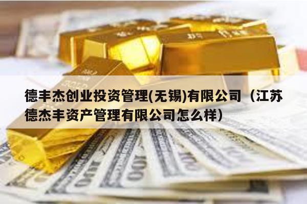德豐杰創業投資管理(無錫)有限公司(江蘇德杰豐資產管理有限公司怎么樣)