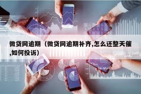 微貸網逾期(微貸網逾期補齊,怎么還整天催,如何投訴)